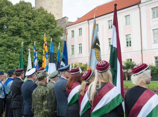 Pidulik riigilipu heiskamine Pika Hermanni torni ja 25-aastased